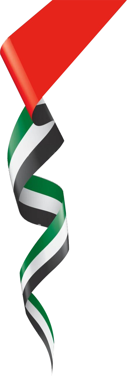 UAE Flag